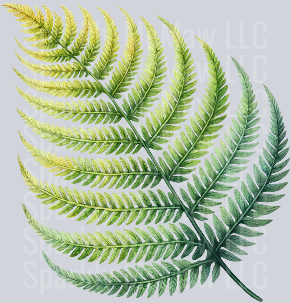 4 Tropical Leaves Clipart Decal