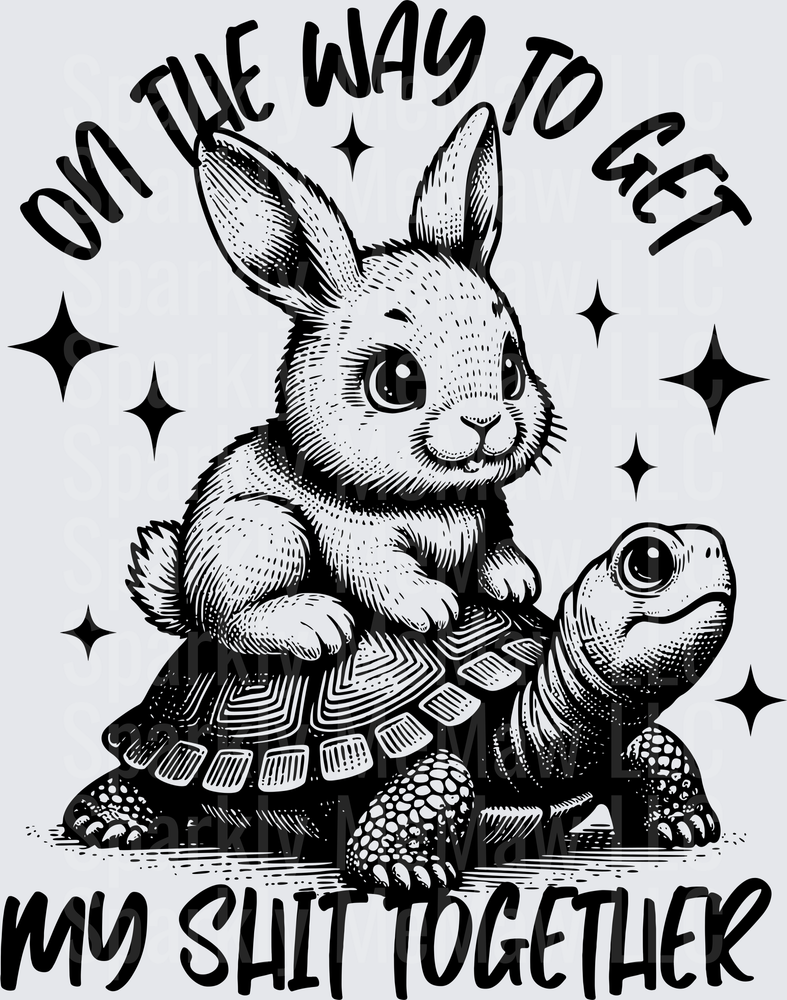 Cute Rabbit Riding Turtle On The Way To Get My Shit Together UV DTF Decal