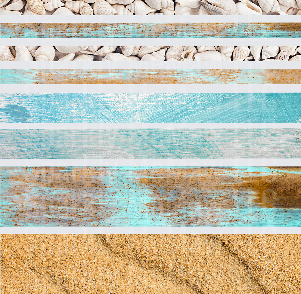 Coastal Seashell Wood Sand Textures 10x10 inch sheet