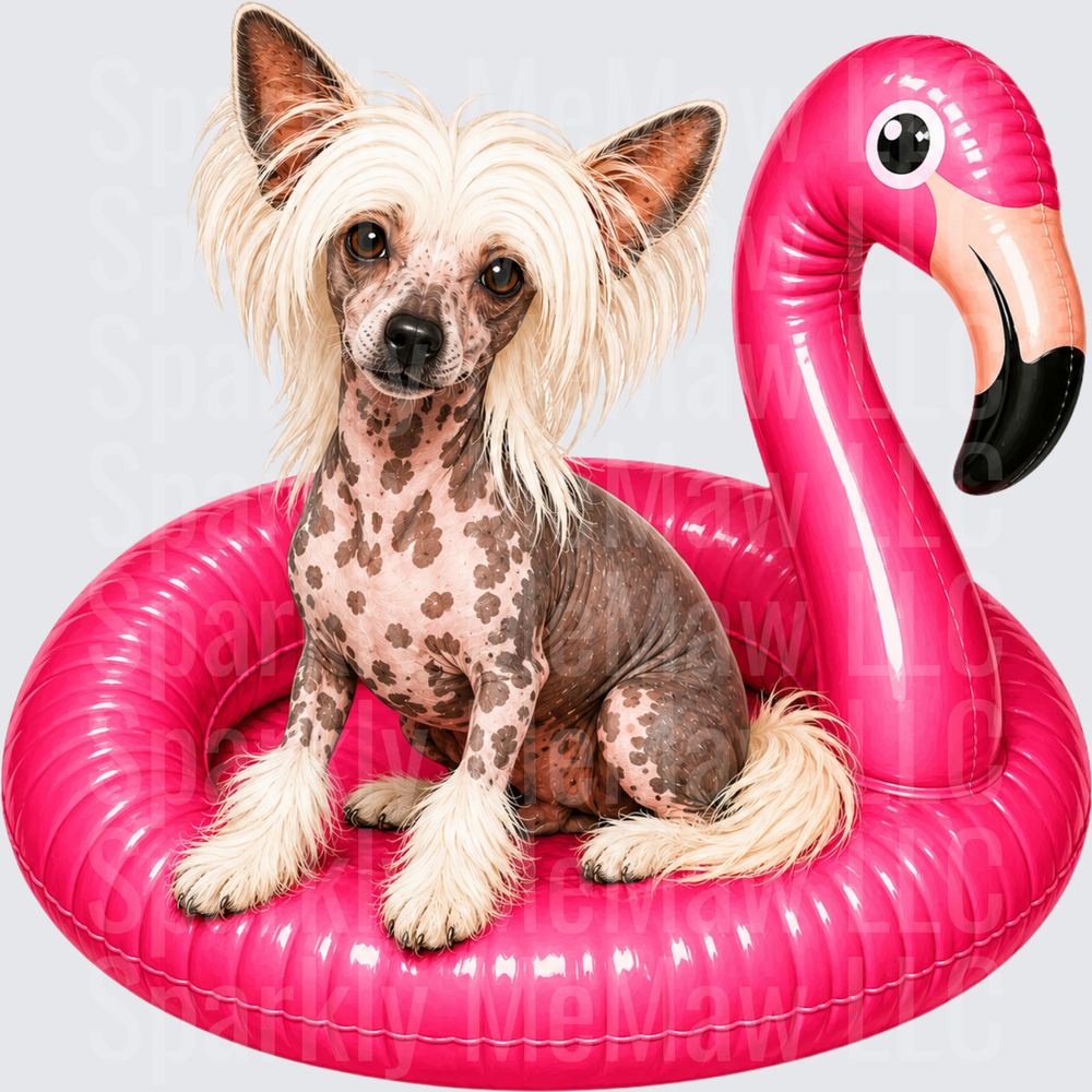 Chinese Crested Dog on Pink Flamingo Pool Float DTF Transfer for Fabric
