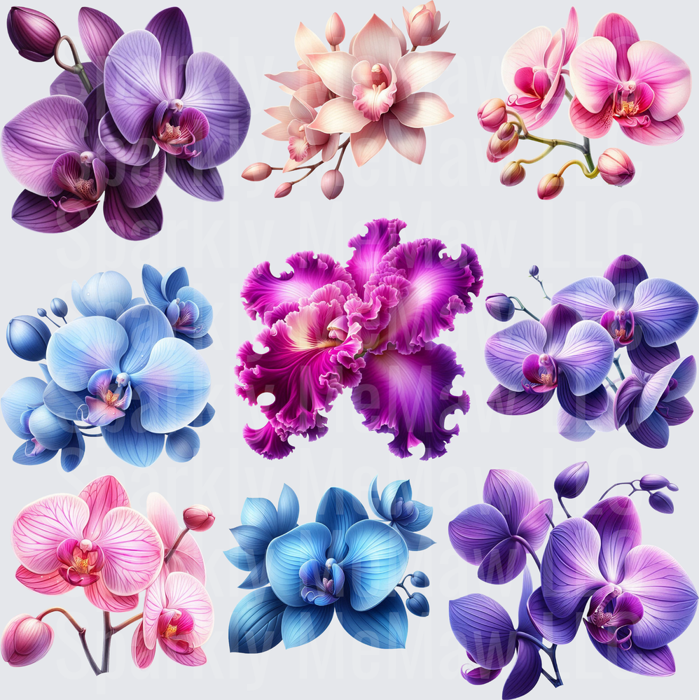 Colorful Orchid Blooms Collection 10x10 inch sheet