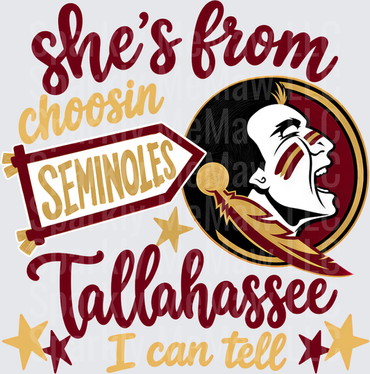 Florida State Seminoles She's From Tallahassee Choosin Seminoles I Can Tell uv dtf decal