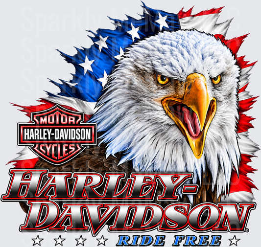 Harley-Davidson Eagle Ride Free DTF Transfer for Fabrics