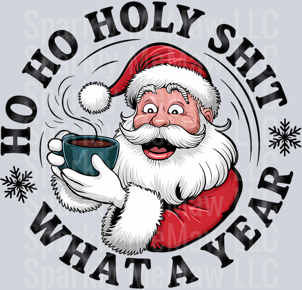 HoHoHo Holy Shit What a year DTF Transfer