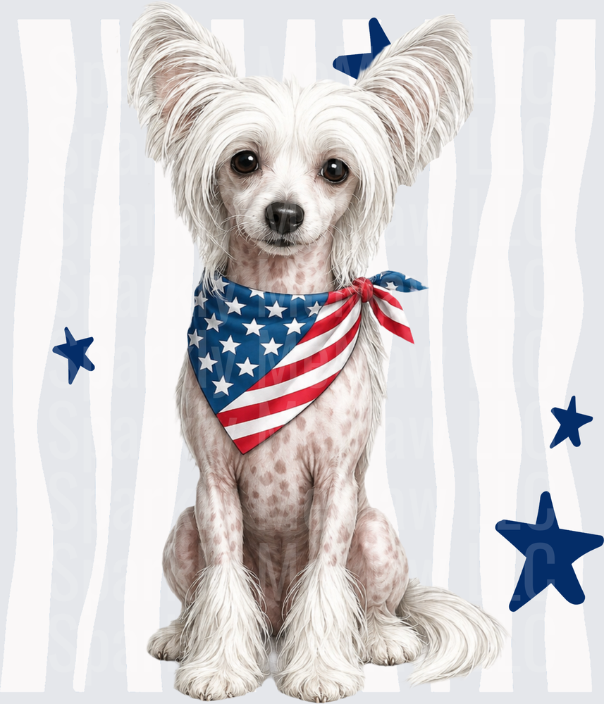 Patriotic Chinese Crested Dog with American Flag Bandana and Stars UV DTF Decal