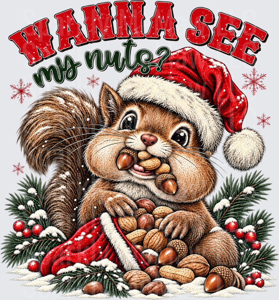 Wanna See My Nuts Squirrel Christmas DTF Transfer for Fabrics
