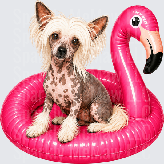 Chinese Crested Dog on Pink Flamingo Pool Float DTF Transfer for Fabric