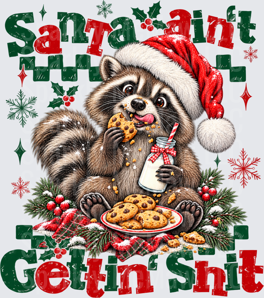Santa Ain't Gettin Shit Raccoon DTF Transfer for Fabrics