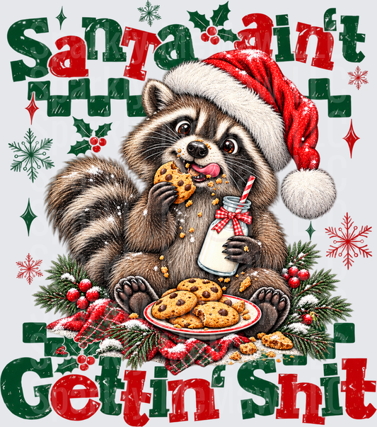 Santa Ain't Gettin Shit Raccoon DTF Transfer for Fabrics