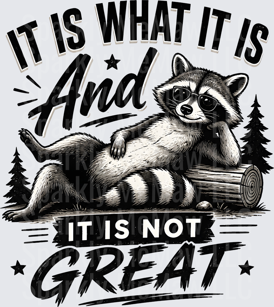 it is what it is