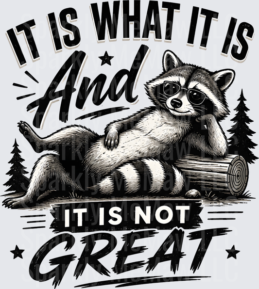 it is what it is