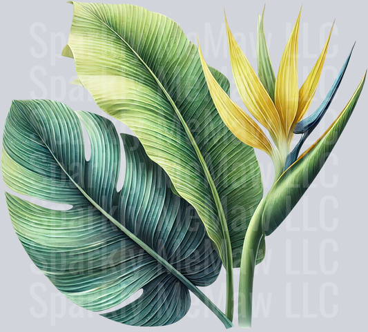 25 Tropical Leaves Clipart Decal