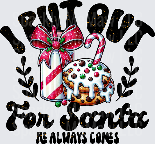 I Put Out For Santa UV DTF Decal
