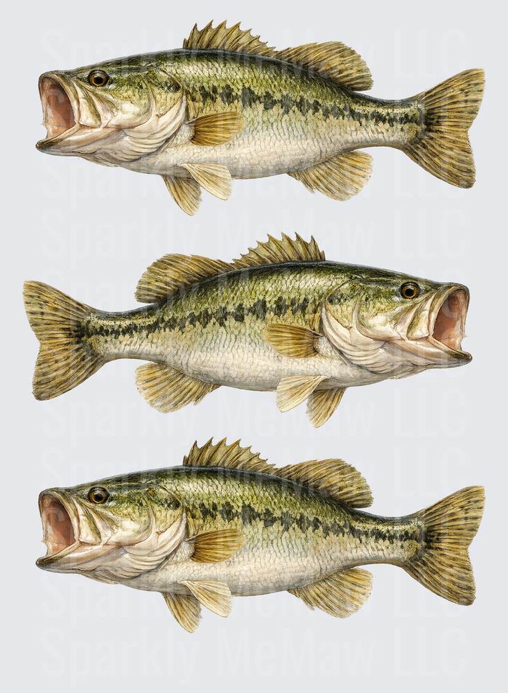 Realistic Largemouth Bass Fish Trio UV DTF Decal