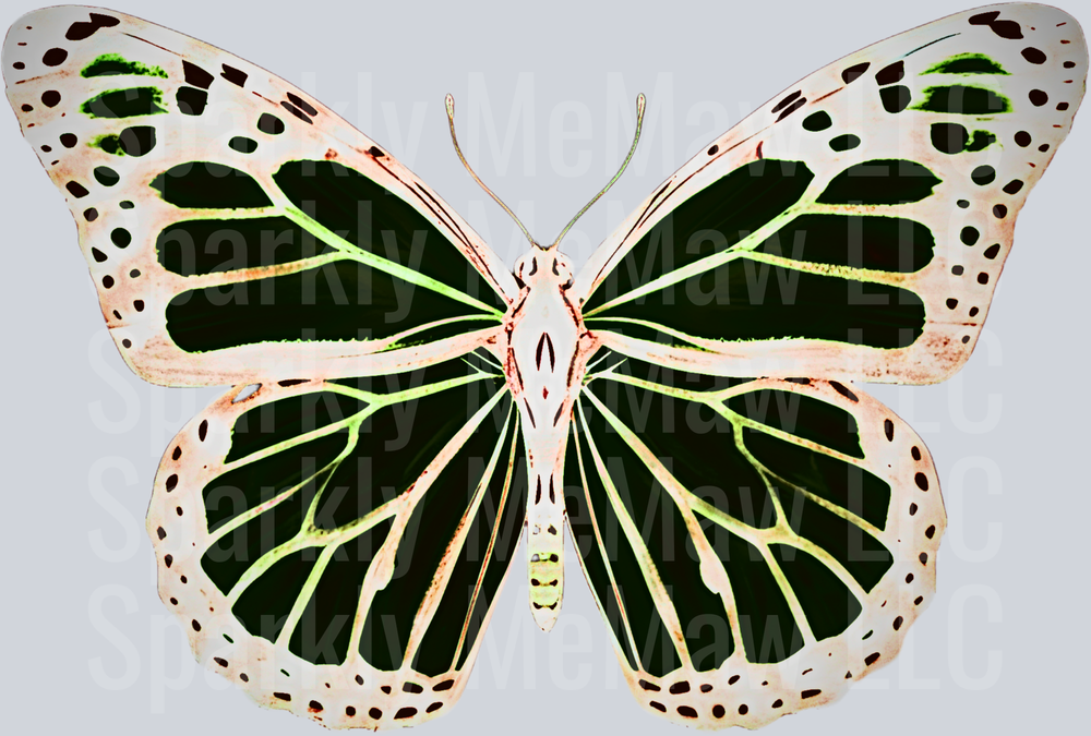 Green and White Butterfly with Spotted Wing Pattern UV DTF Decal
