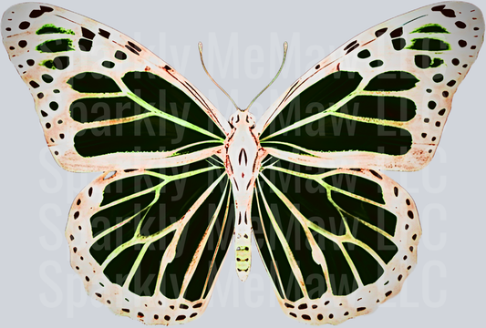 Green and White Butterfly with Spotted Wing Pattern UV DTF Decal