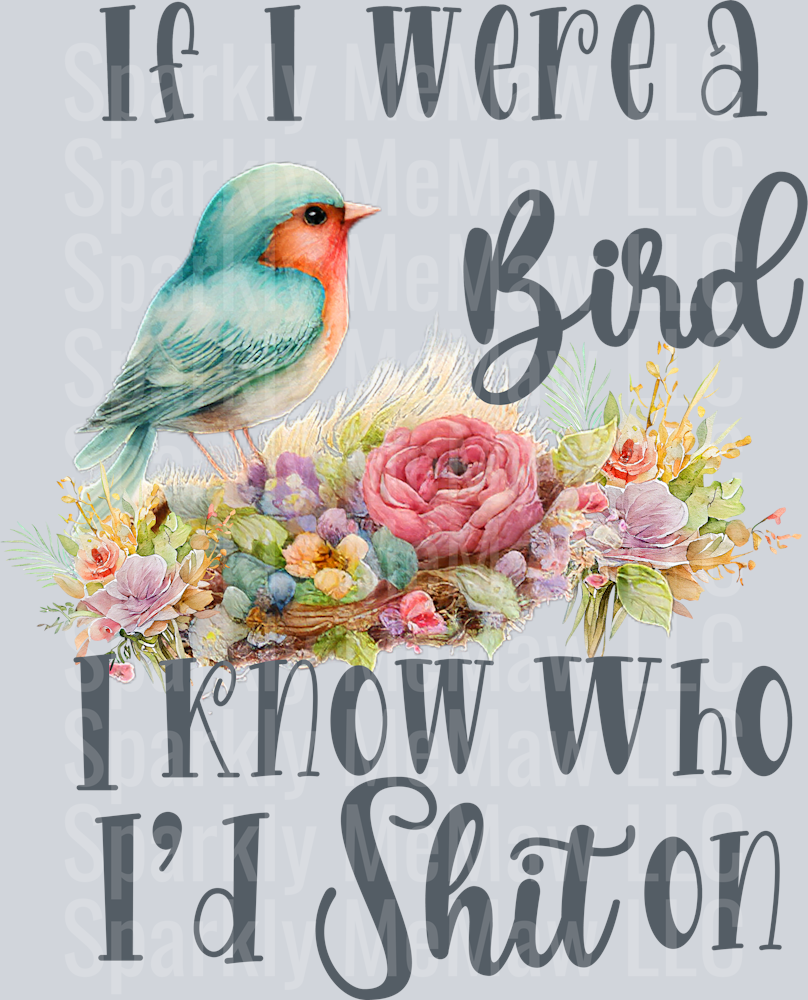 If I were a bird I know who Id shit on UV DTF Decal