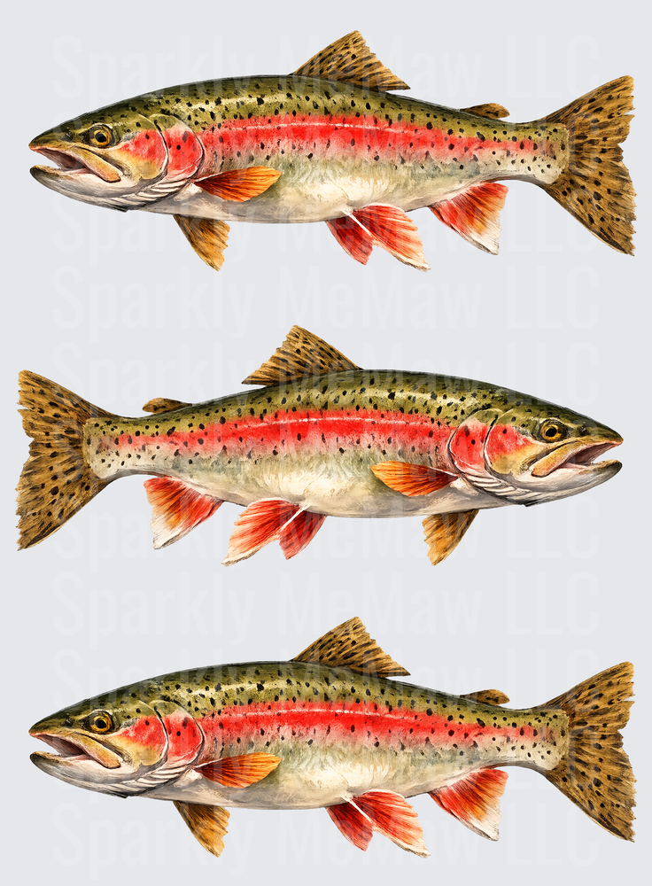 Realistic Cutthroat Trout Fish Illustration Set UV DTF Decal