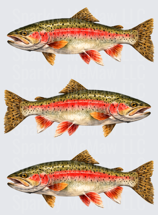 Realistic Cutthroat Trout Fish Illustration Set UV DTF Decal