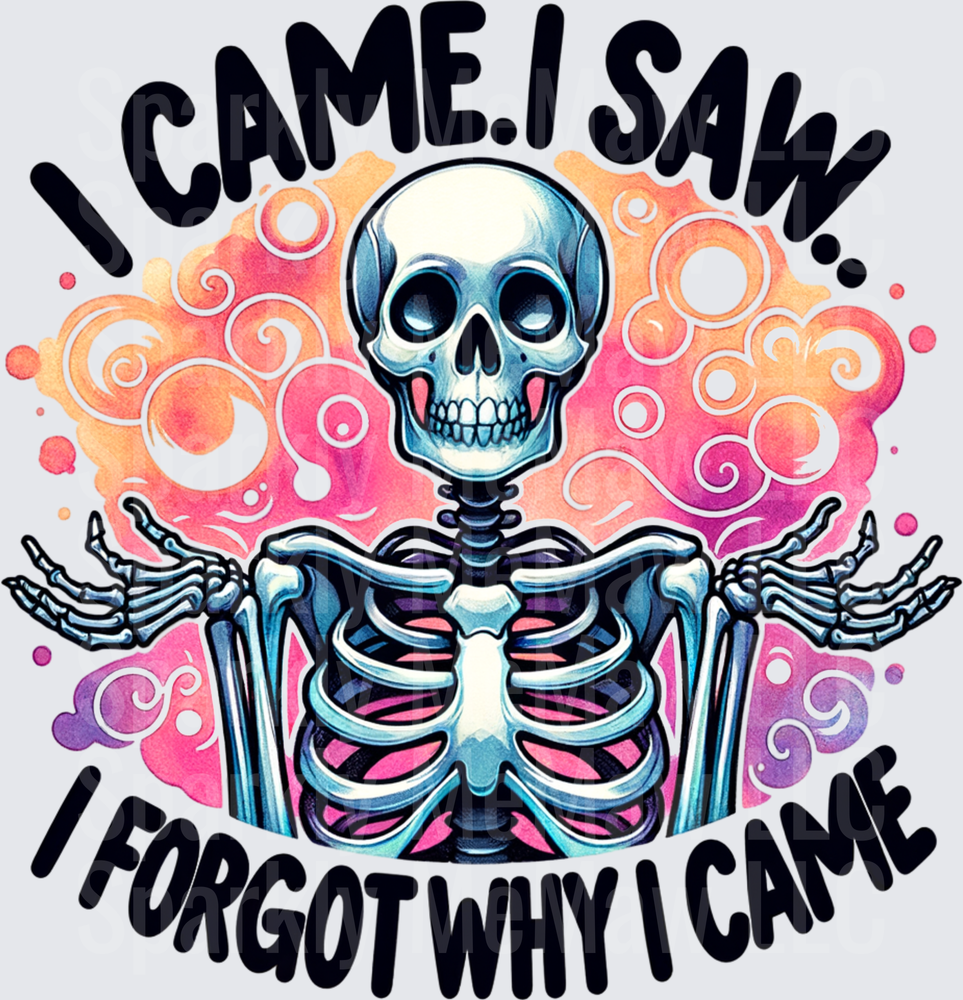 Skeleton I Came I Saw I Forgot Why I Came Funny Saying UV DTF Decal