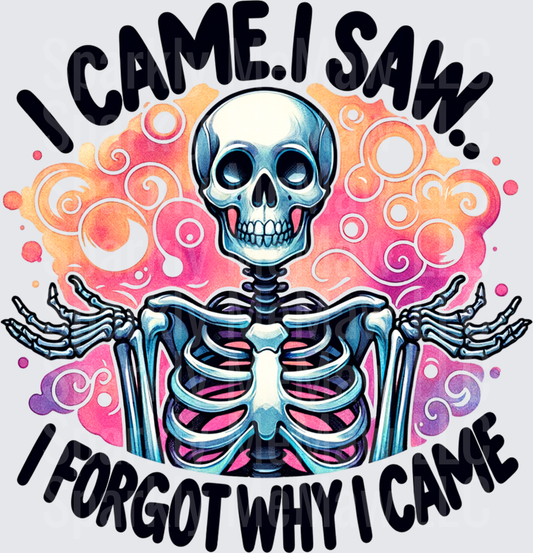 Skeleton I Came I Saw I Forgot Why I Came Funny Saying UV DTF Decal