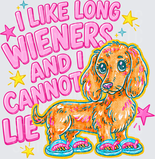 I Like Long Wieners And I Cannot Lie Funny Dachshund Dog with Sneakers DTF Transfer for Fabric