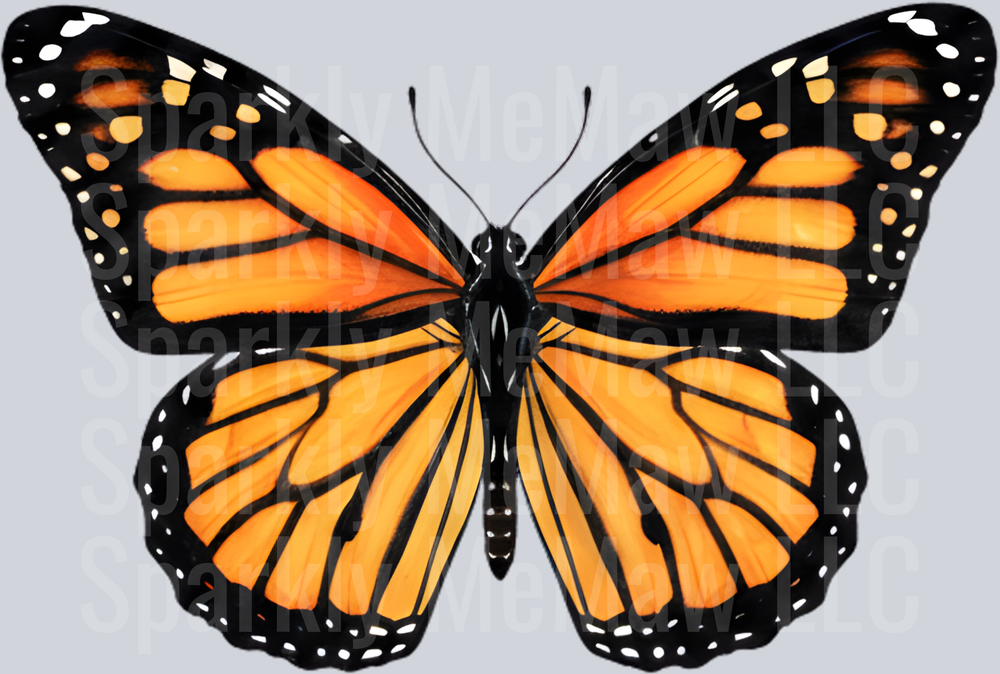 Monarch Butterfly with Orange and Black Wings UV DTF Decal